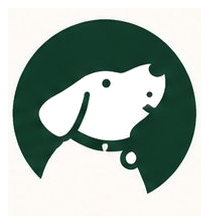 宠摆渡