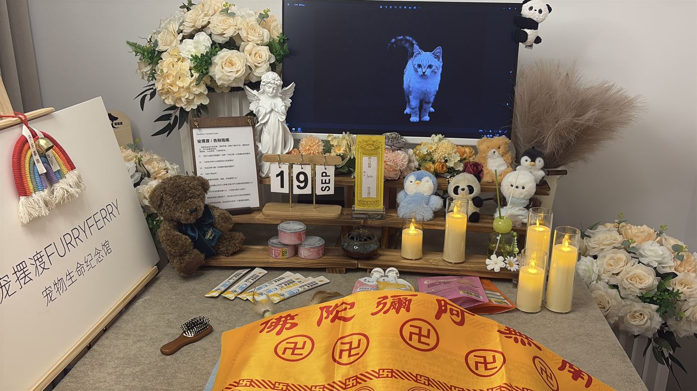 骨灰安置怎么选？武汉常见的五种安葬方式对比