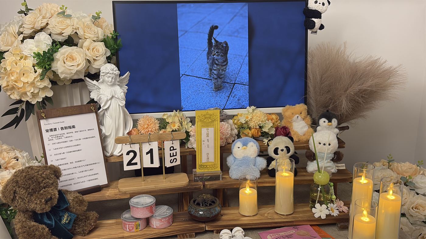 家属能带些什么
