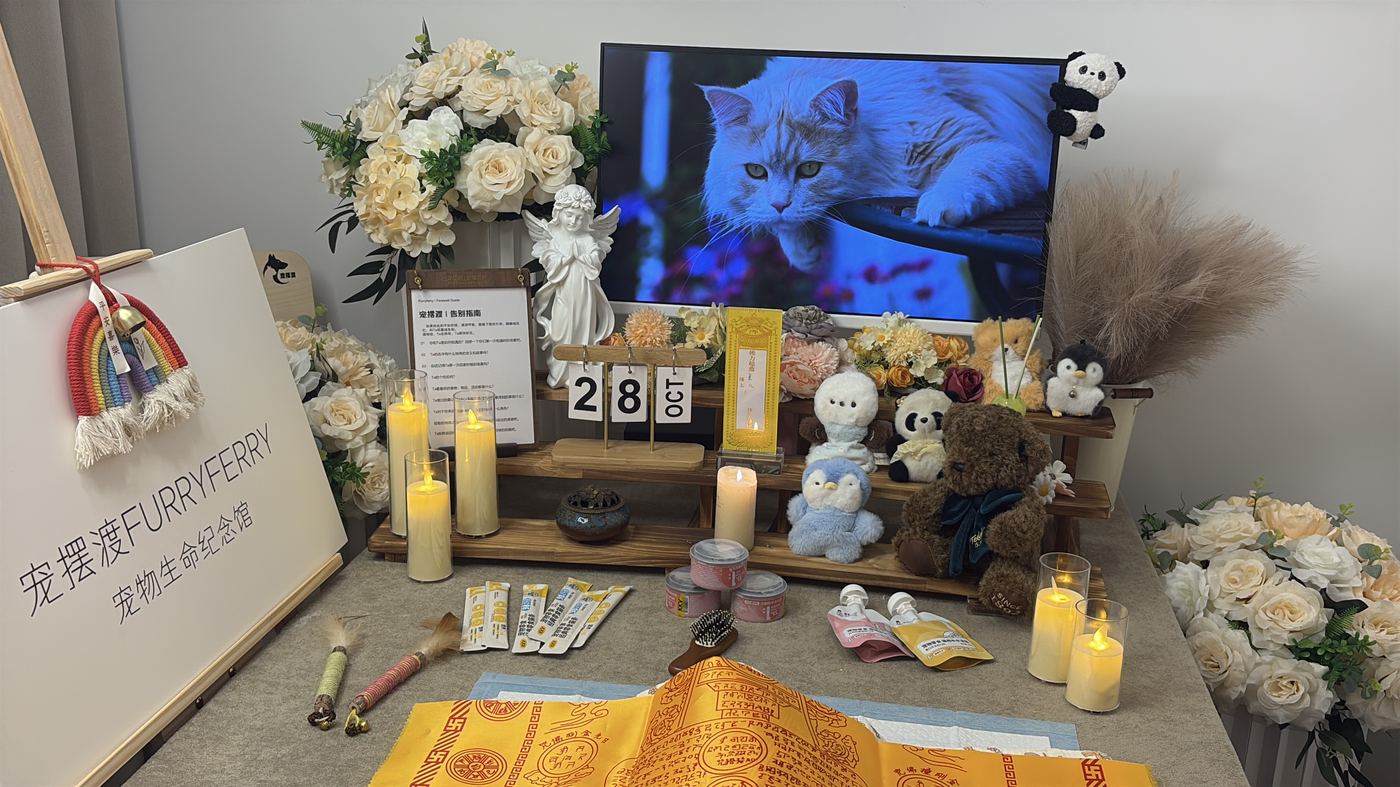 武汉宠物告别厅布置：如何给江城家属一个体面的告别