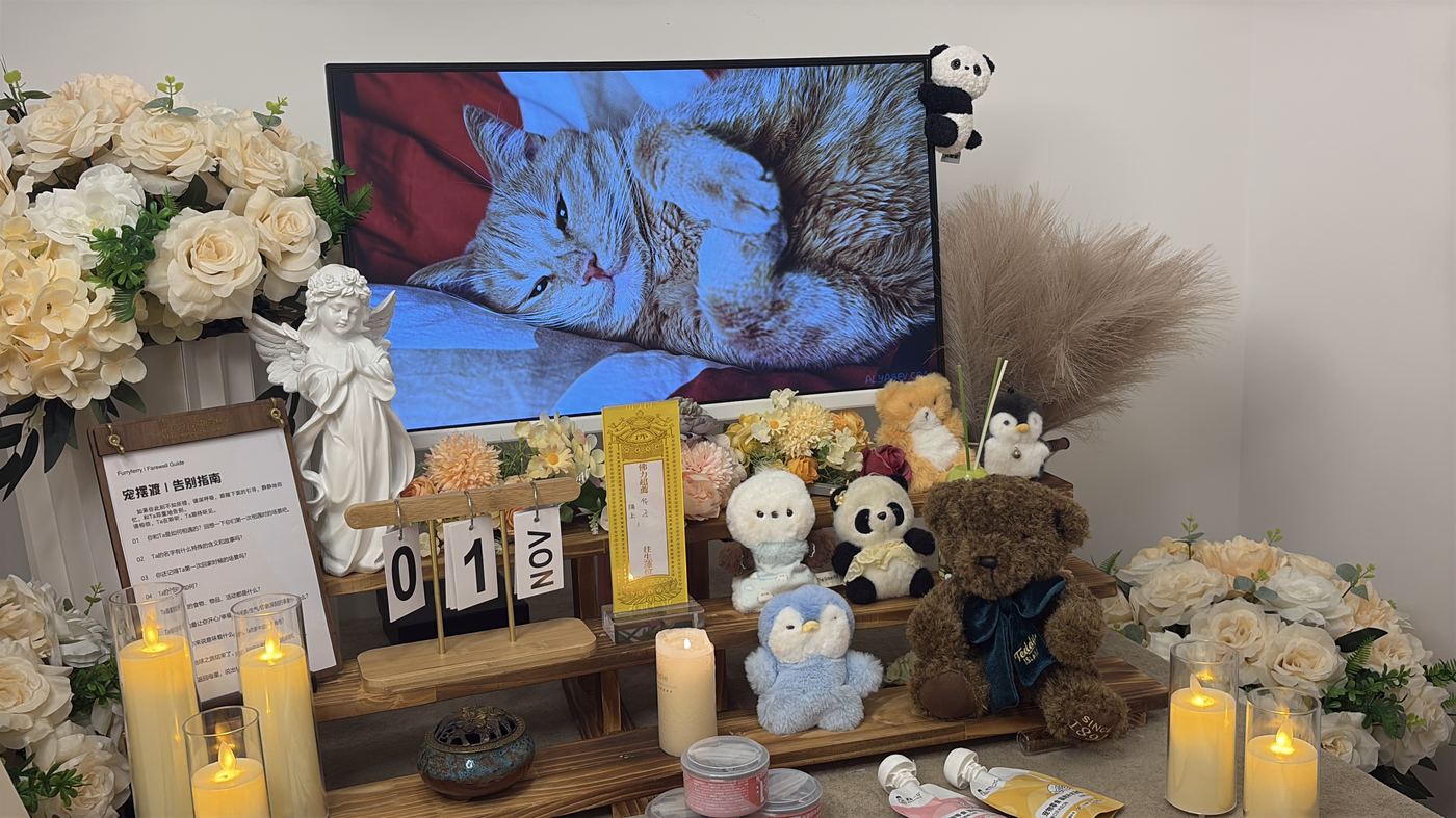 武汉宠物上门接回服务：24小时响应流程说明